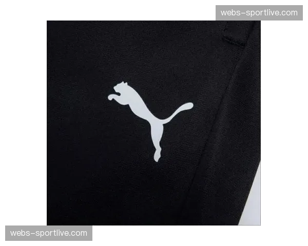 彪马与曼城续约十年，新合同包含比赛日服装独家权益